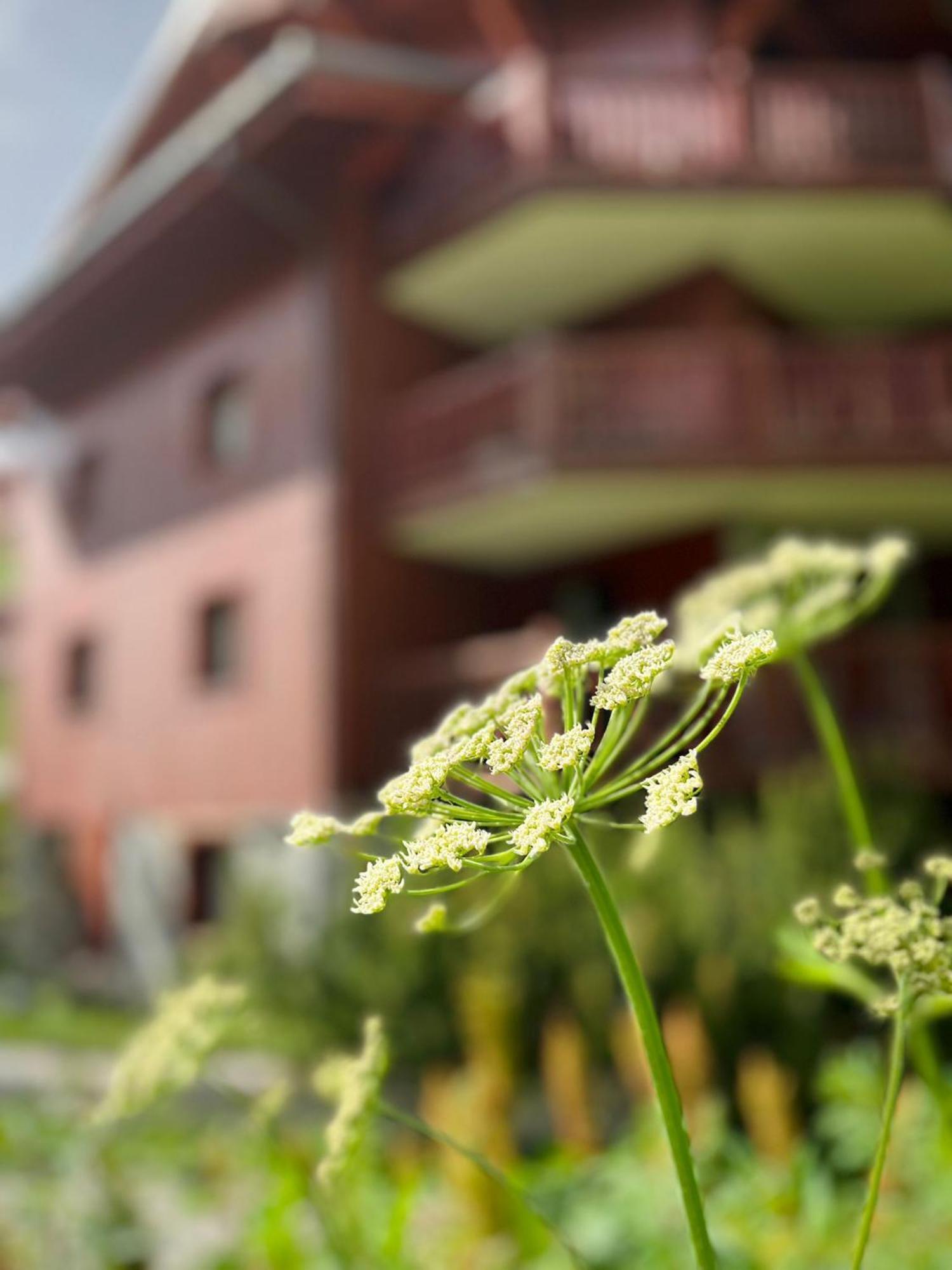 Appartments In Tignes Ecrin Des Neiges Zewnętrze zdjęcie